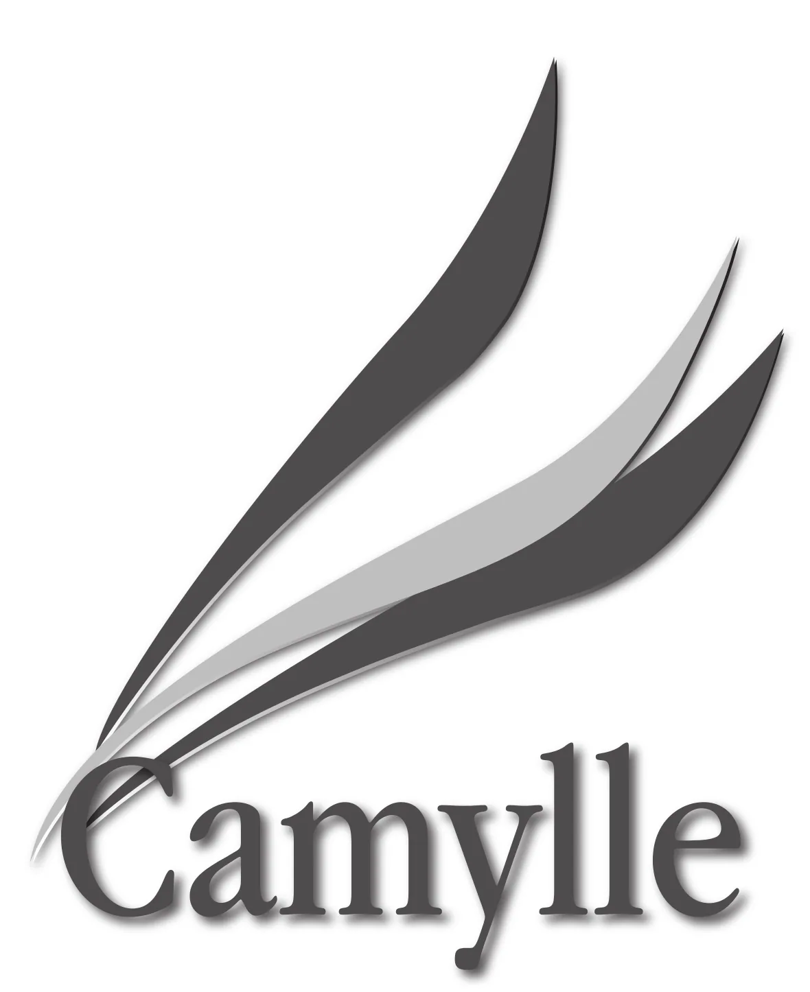 Натуральна ароматизація для СПА від Camylle